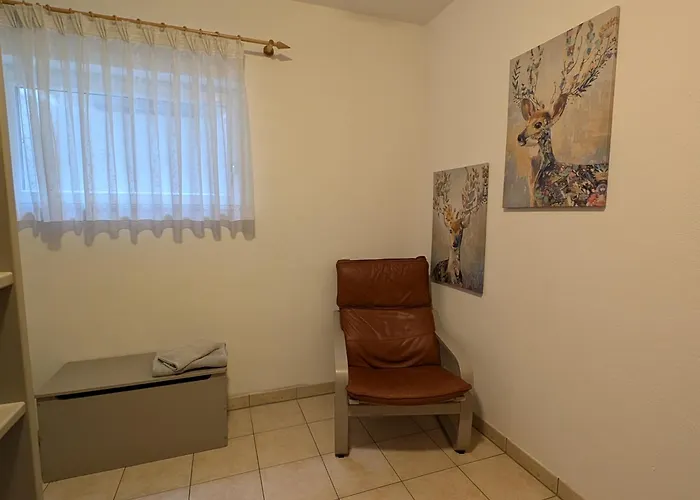 Look Wide Apartment *